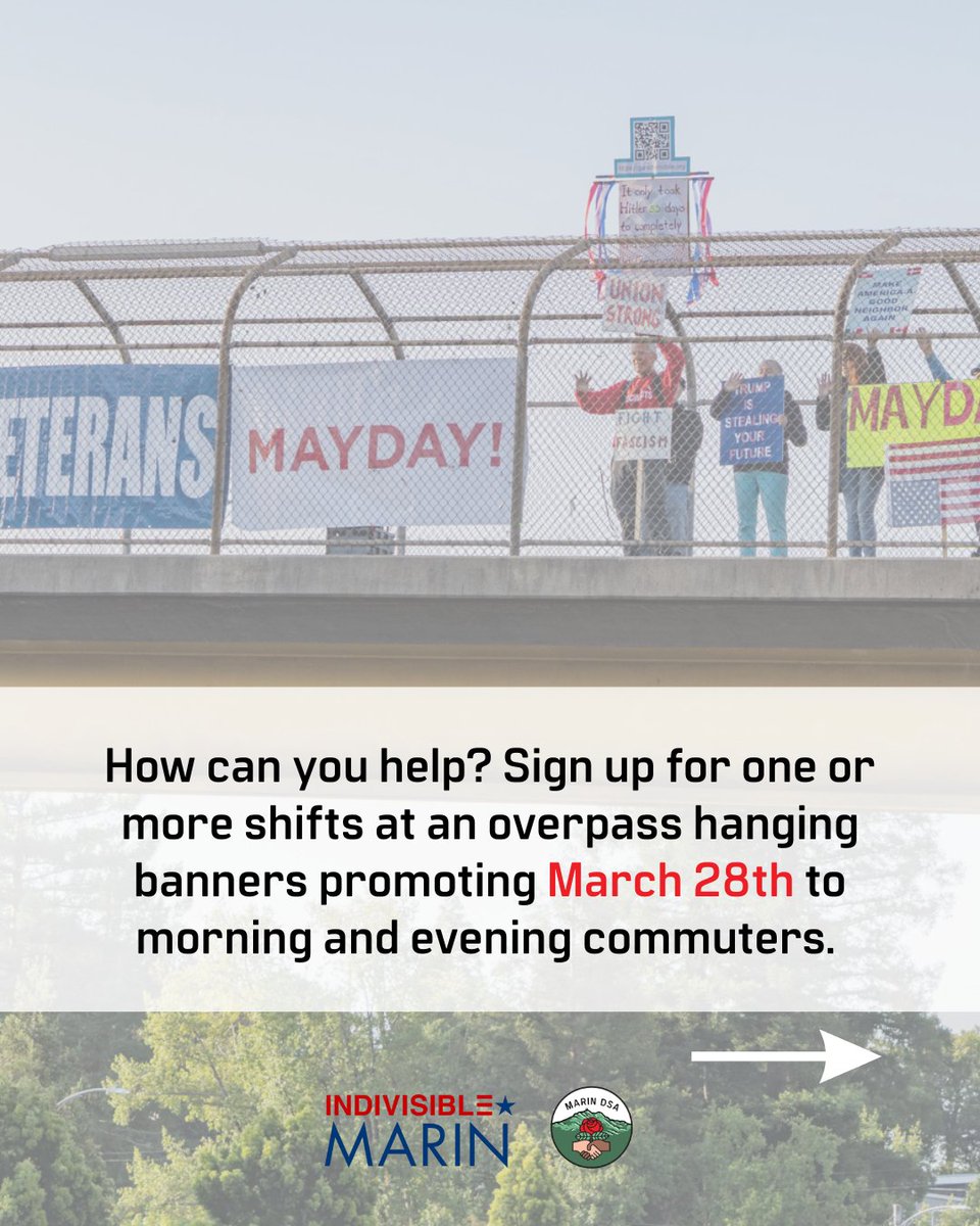 Marin DSA tweet media