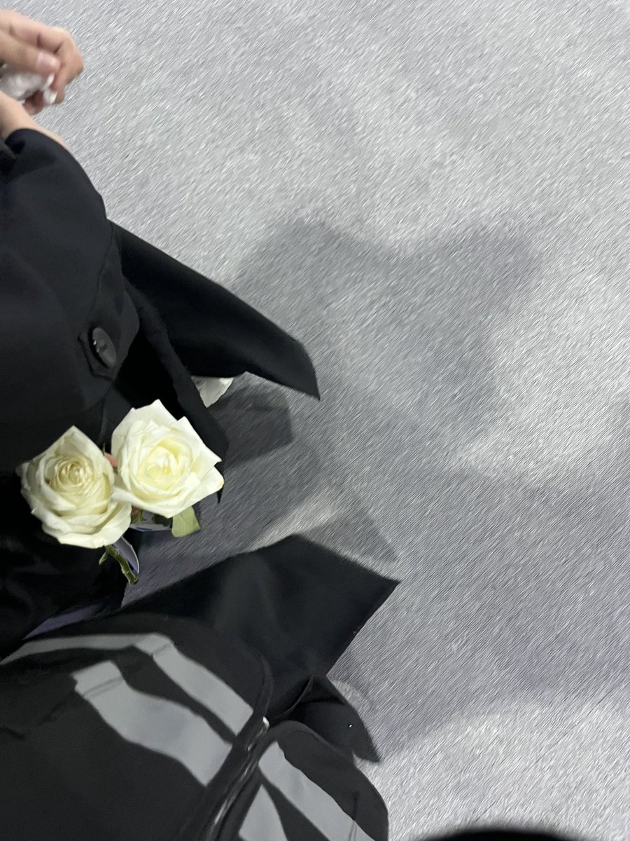 𝓐𝓶𝓪𝓷𝓲 𝓐𝓵𝓲 tweet media