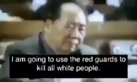 theasiansenseition tweet media