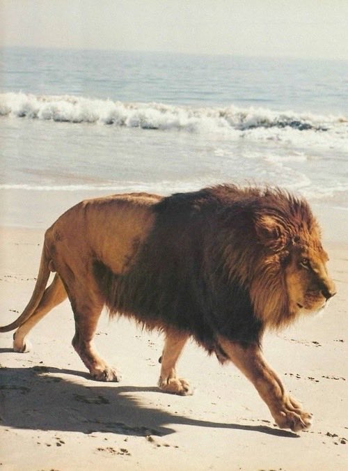 Me on my morning walk thinking about her

(Multiple grils)