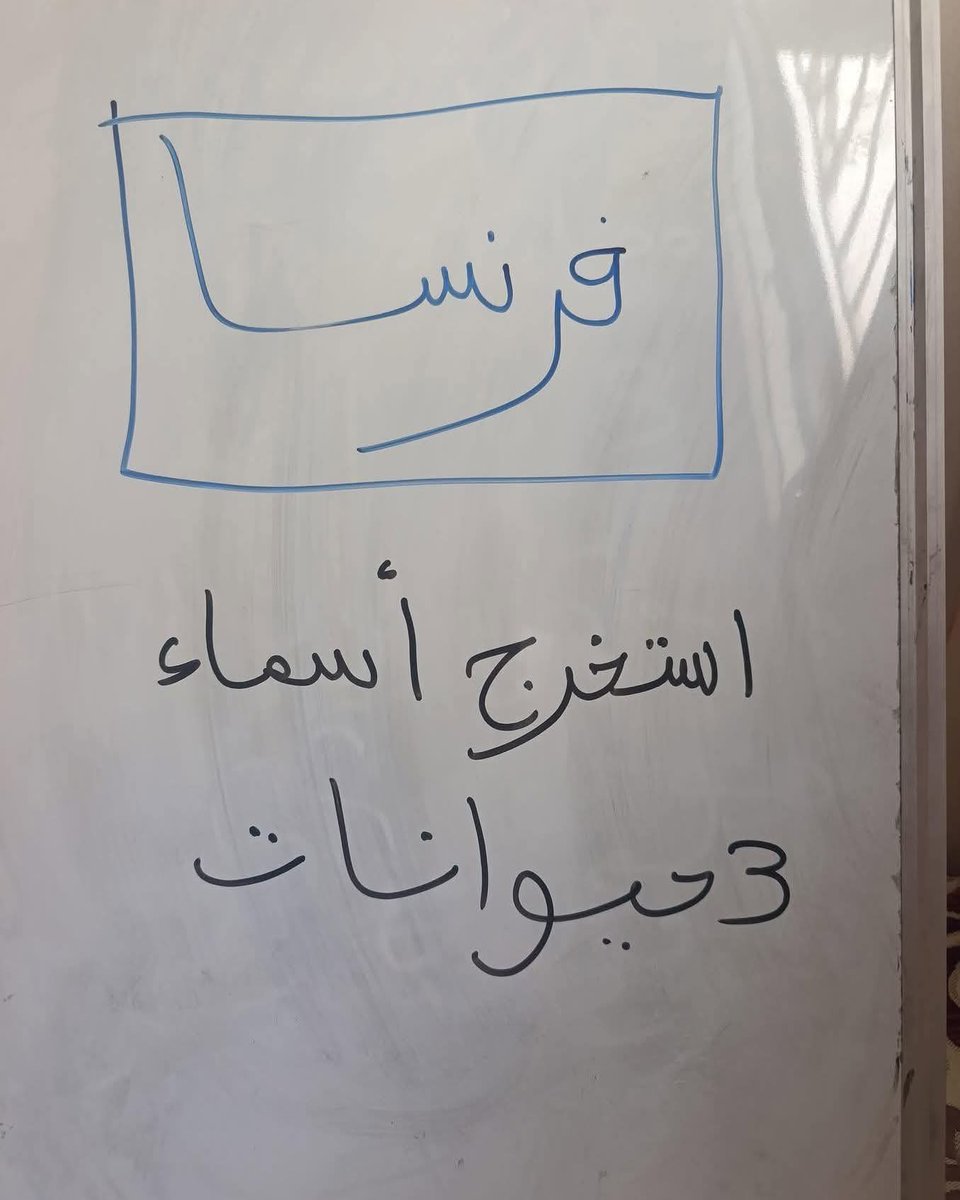 Arab Memes tweet media