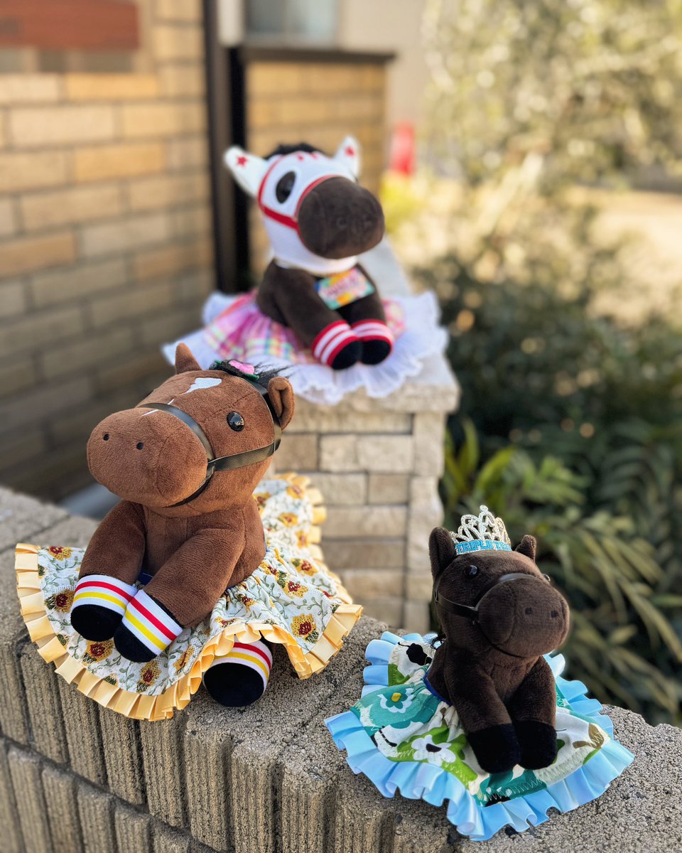 溝井 祐季🍊 tweet media