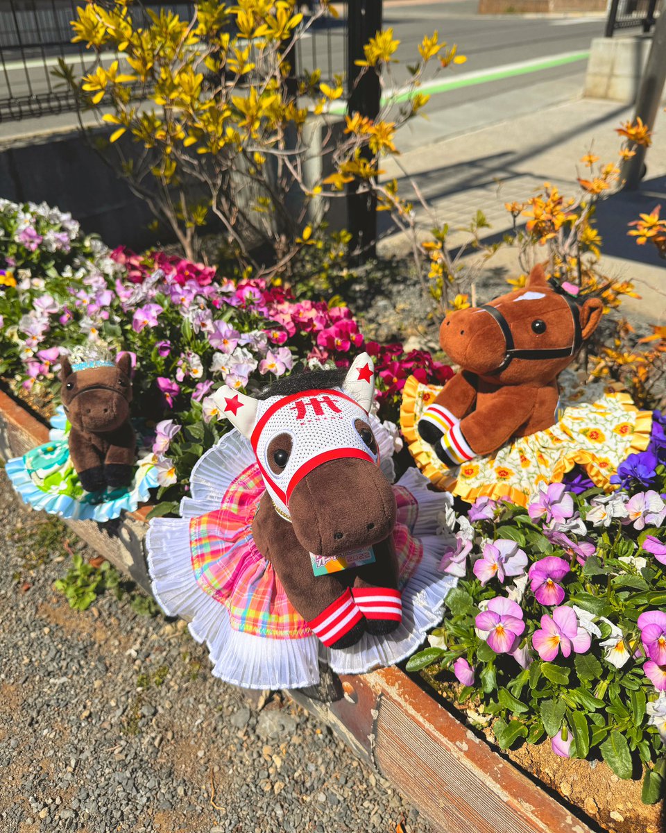 溝井 祐季🍊 tweet media