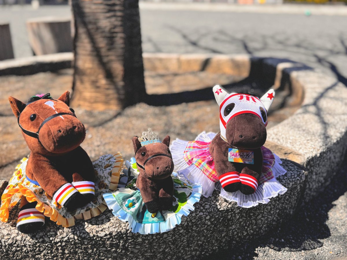 溝井 祐季🍊 tweet media