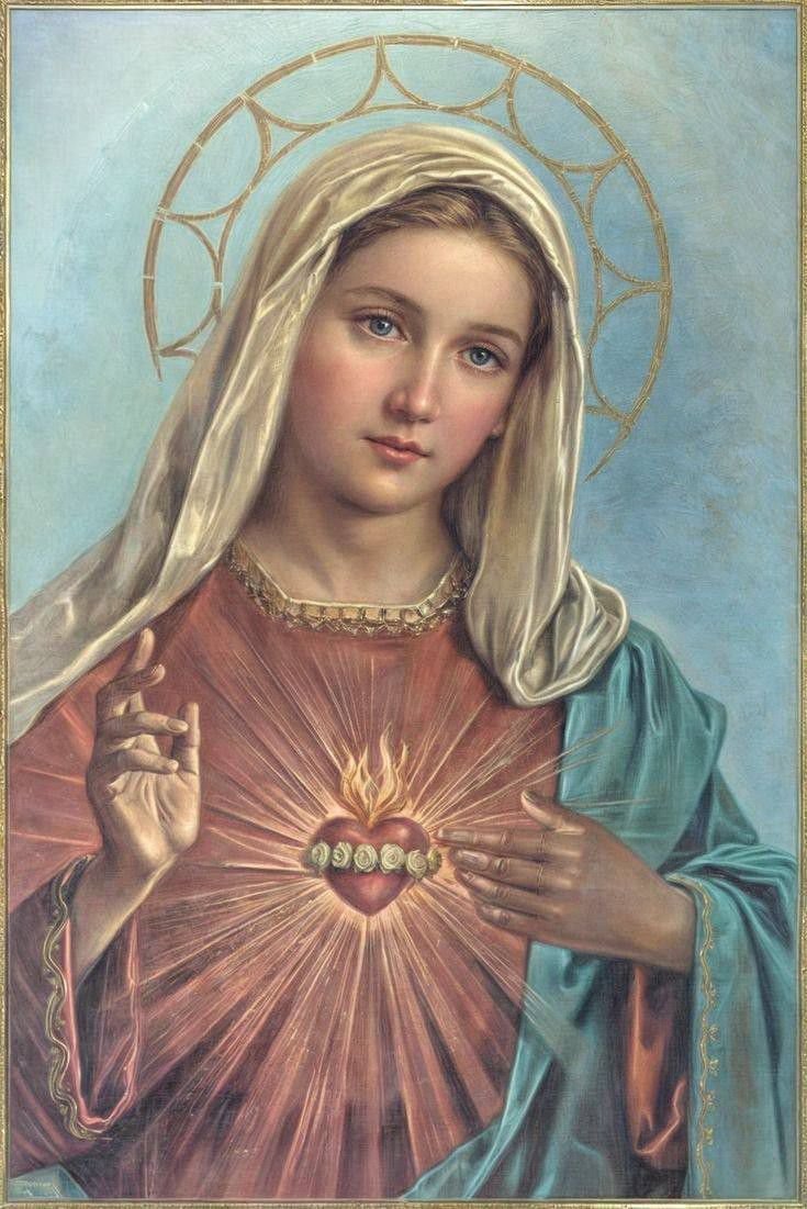 Sentinel Fidelis tweet media