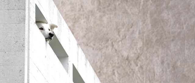 William Fuentes tweet media