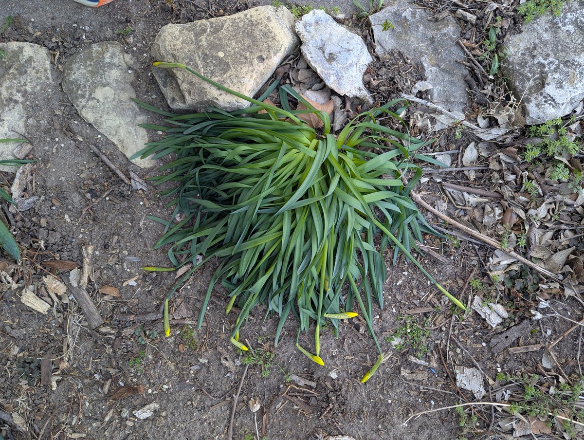 Chip Redmond tweet media