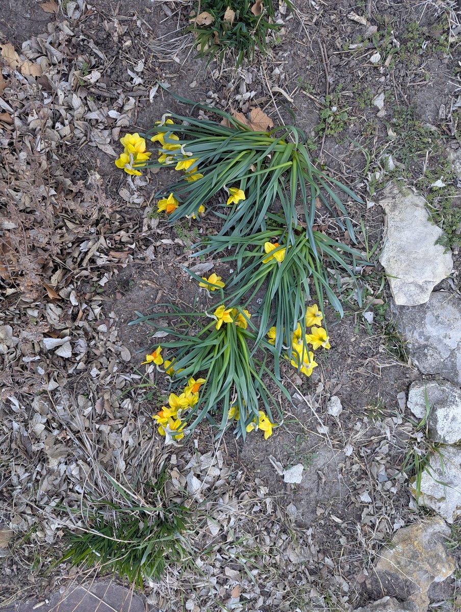 Chip Redmond tweet media