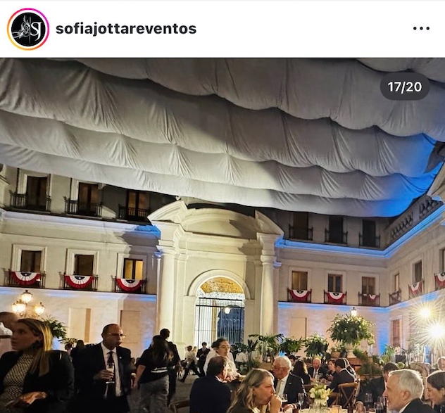 Yo❤️🐧Pingüino de Humboldt & 🐸 Ranita de Darwin tweet media