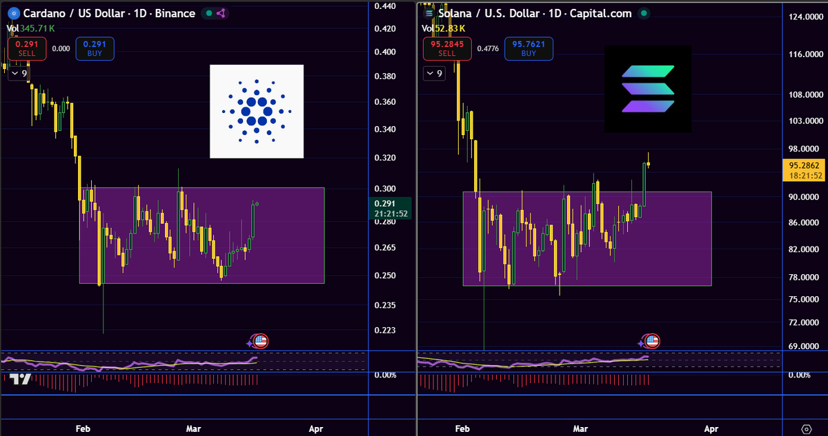 gnarleyquinn tweet media