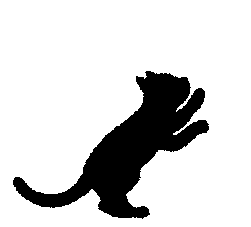 Indie79STUDIO tweet media