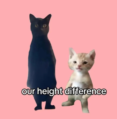 nekomi tweet media