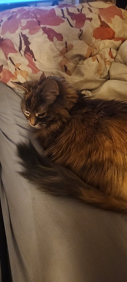 💋🇨🇦 Beth 🇨🇦💋 tweet media