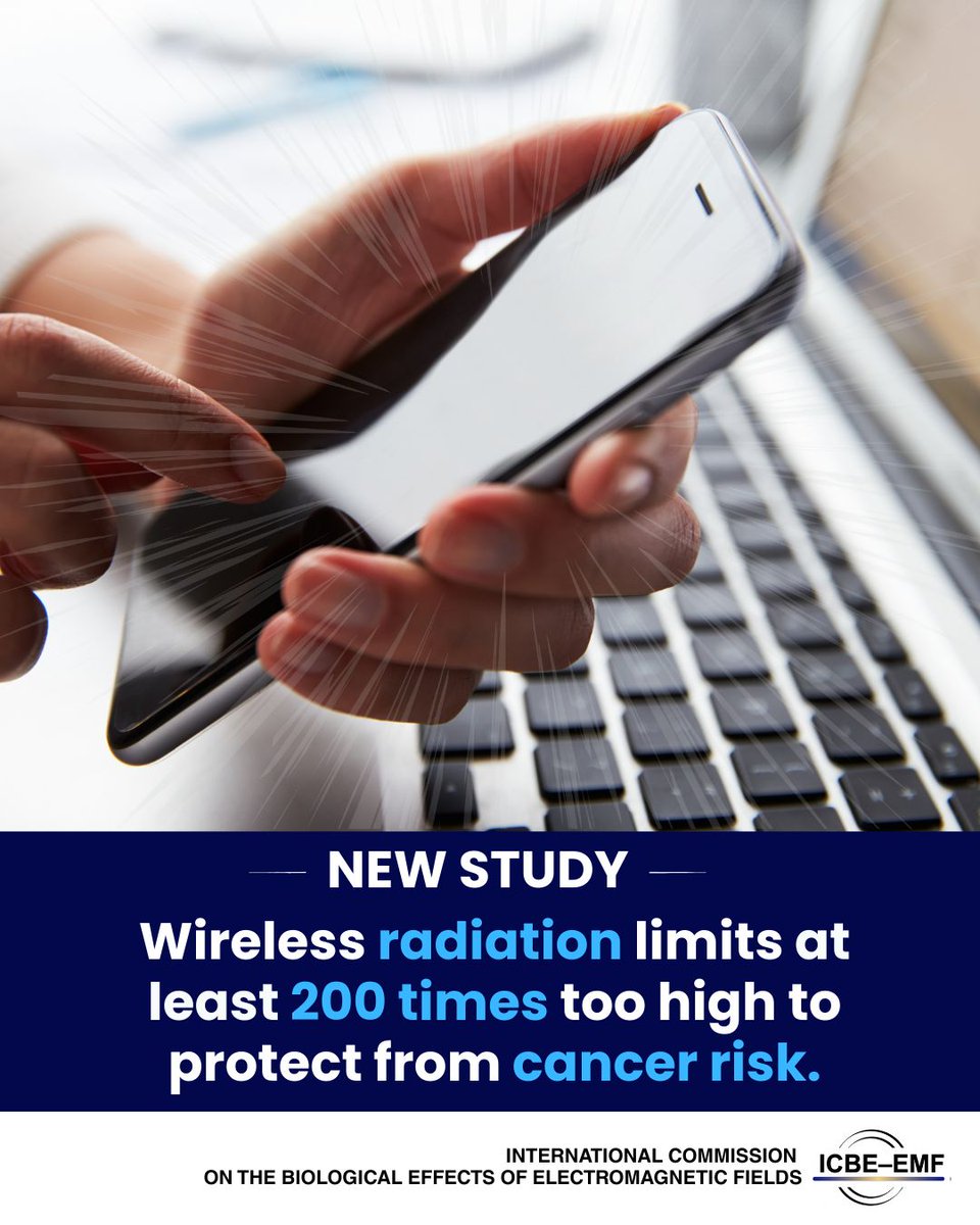 Joel Moskowitz tweet media