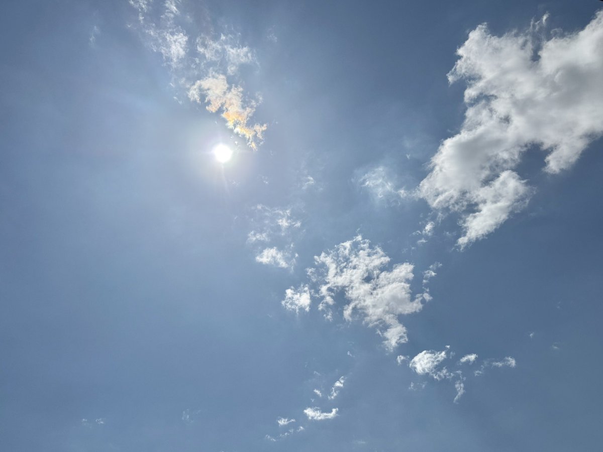 可以叫腦袋停一下嗎 tweet media