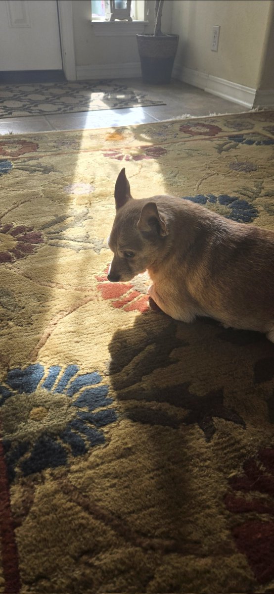 Michael Henderson tweet media