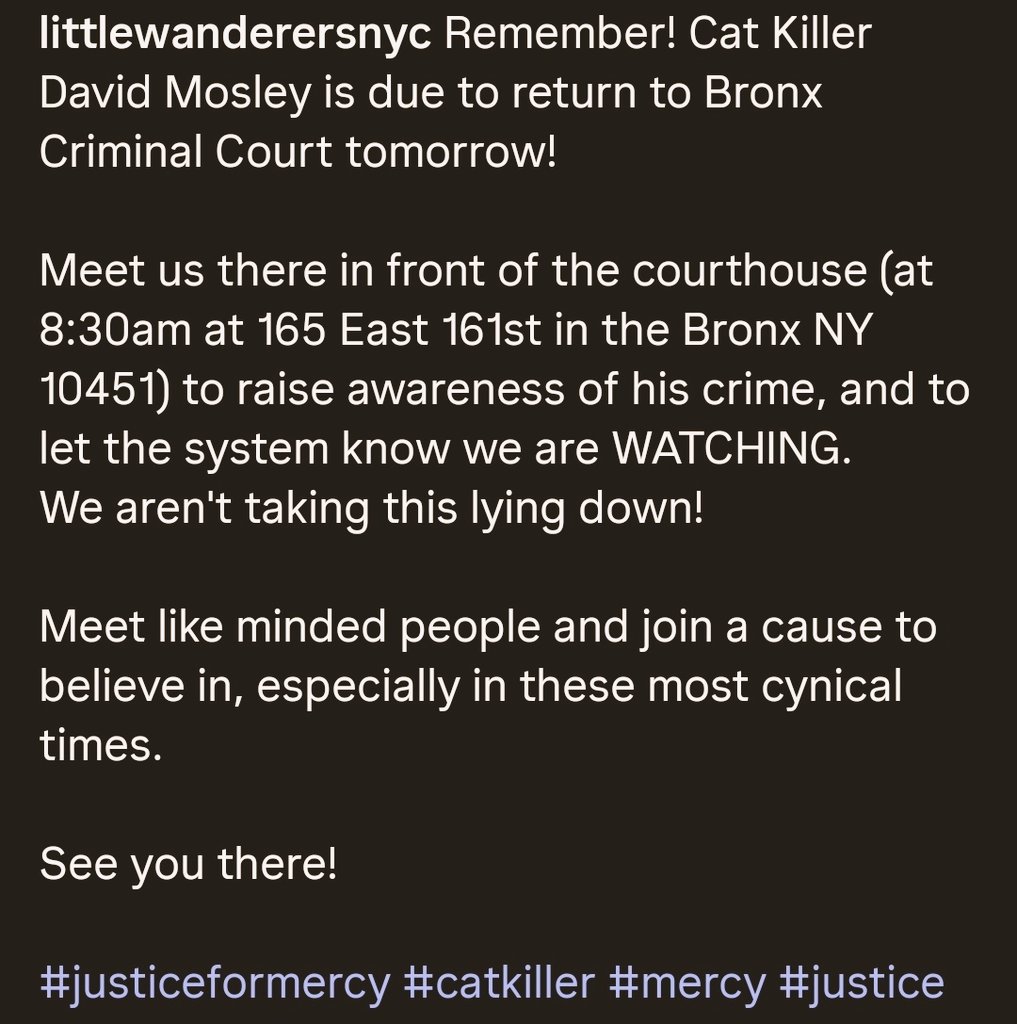 MeowMiya88's tweet image. 📢🇺🇸🗽🚨💔😿#NYC  
Tuesday, March 17, 2026
8:30AM Meet @Littlewandnyc 
In front of The Bronx Courthouse!
#animalabuse #AnimalCruelty