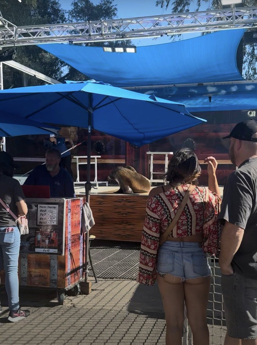 wranzell tweet media