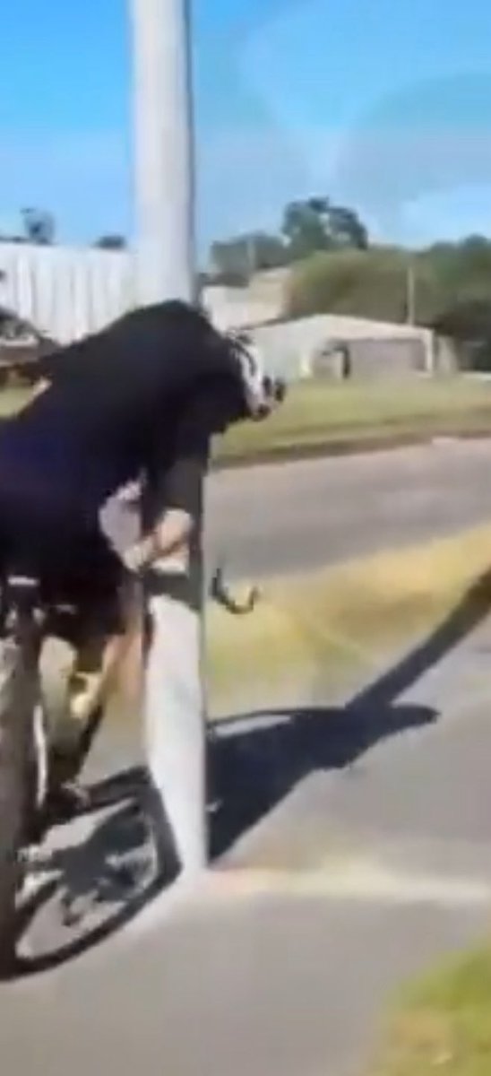 Julián Bussetti tweet media