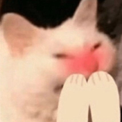 Matt Ramos tweet media