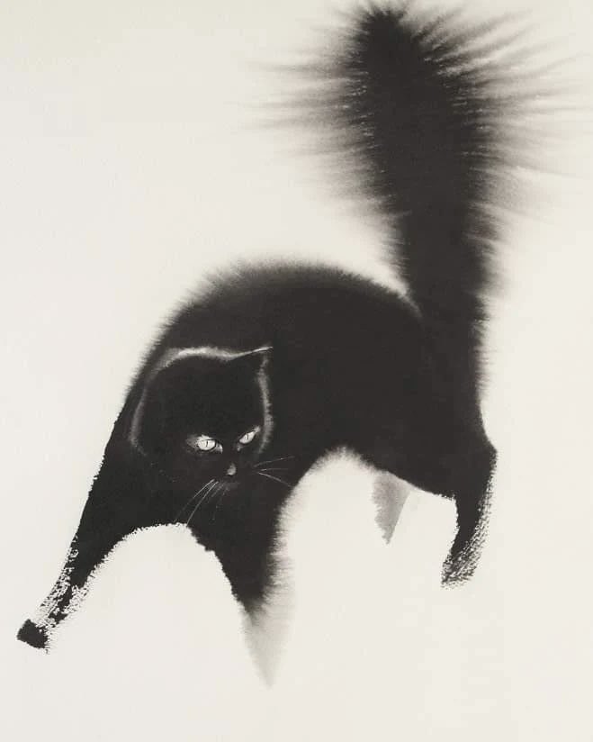 엔드레 페노바츠, 무제 (고양이), 잉크