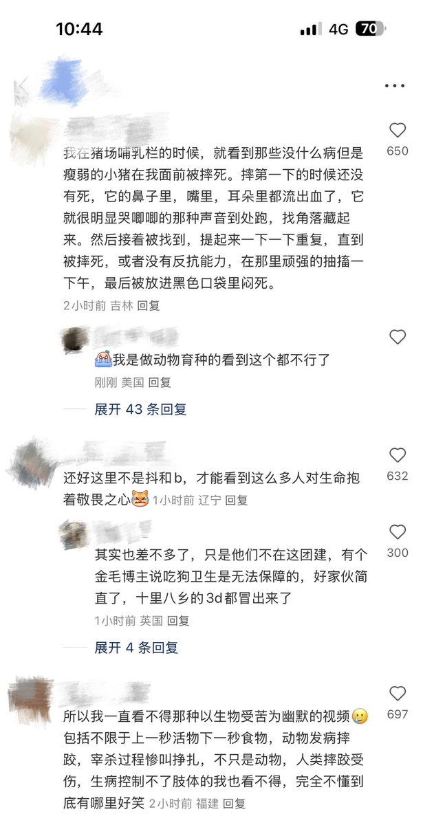 上火慎喝金银花露 tweet media