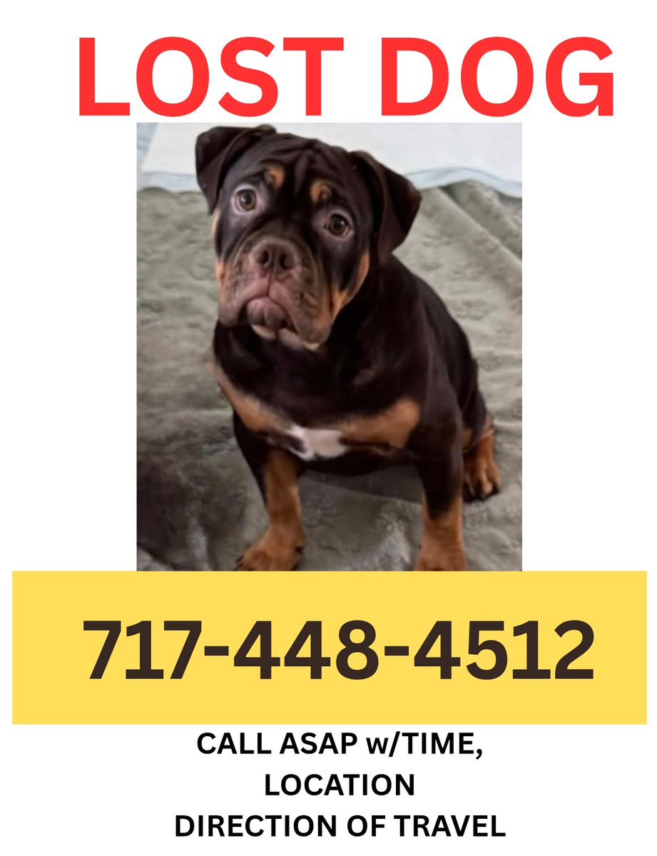 LuLu & family tweet media