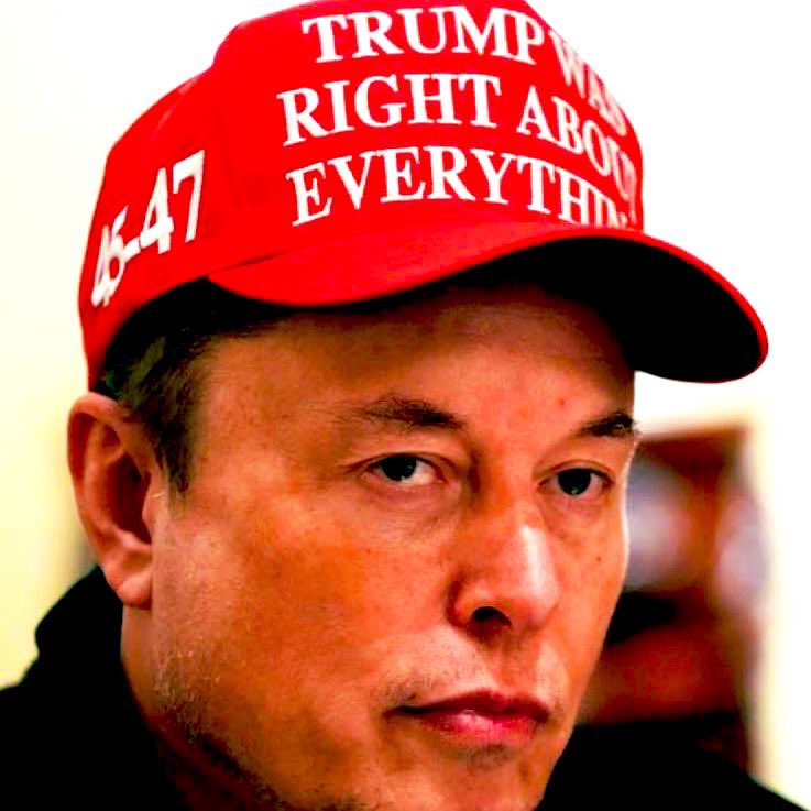 Popular Liberal 🇺🇸 tweet media