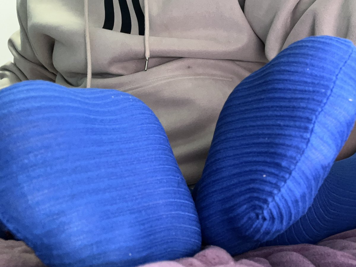 🐾白桜的小龙窝🌸 tweet media