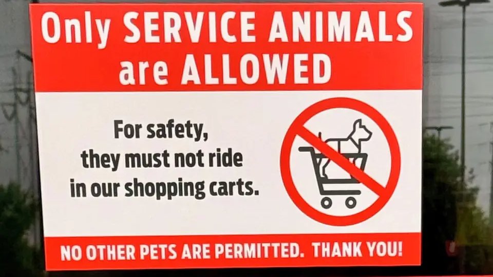 zero2give 🪖 tweet media