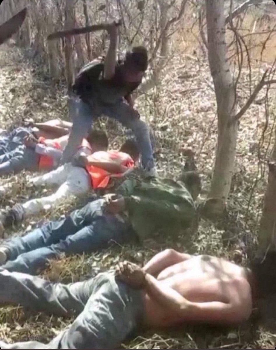 Abigail Contreras tweet media