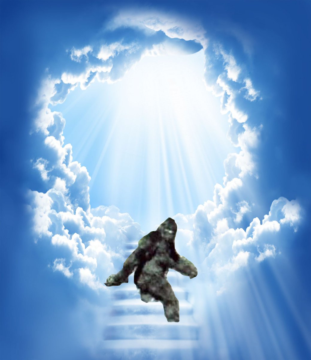 Trey the Explainer tweet media