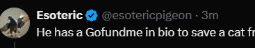 nothedgefree's tweet photo. @esotericpigeon he never said its for the same cat you retards. The point is to help and get the owner to notice https://t.co/YCsyJhlAsY