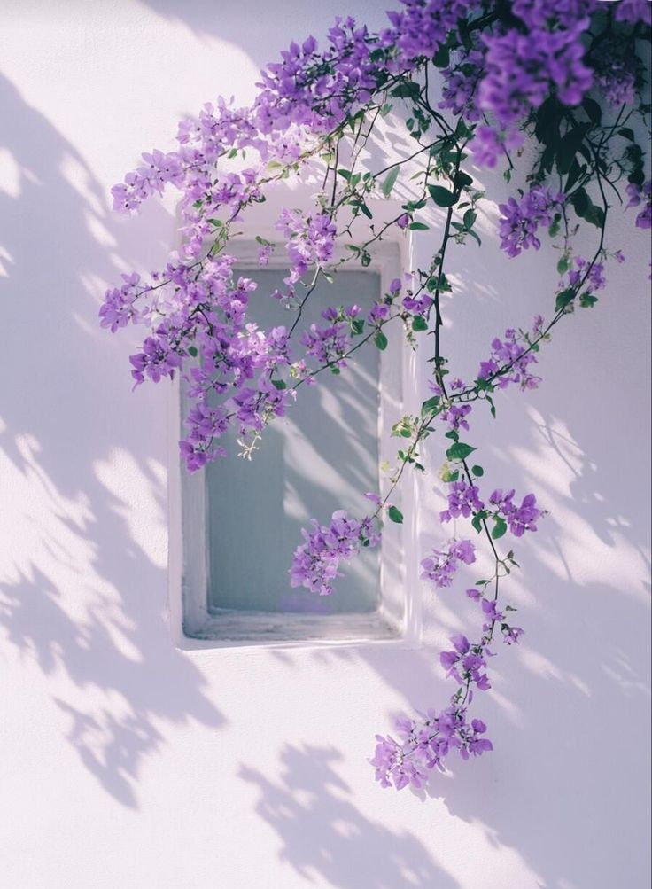 Aesthetics tweet media