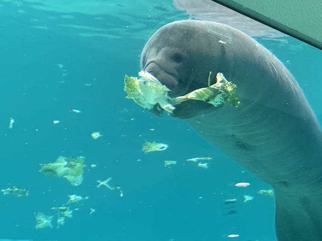 OFT STORE@ペット用品店【公式】 tweet media