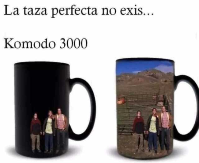 Moon Night Flores tweet media