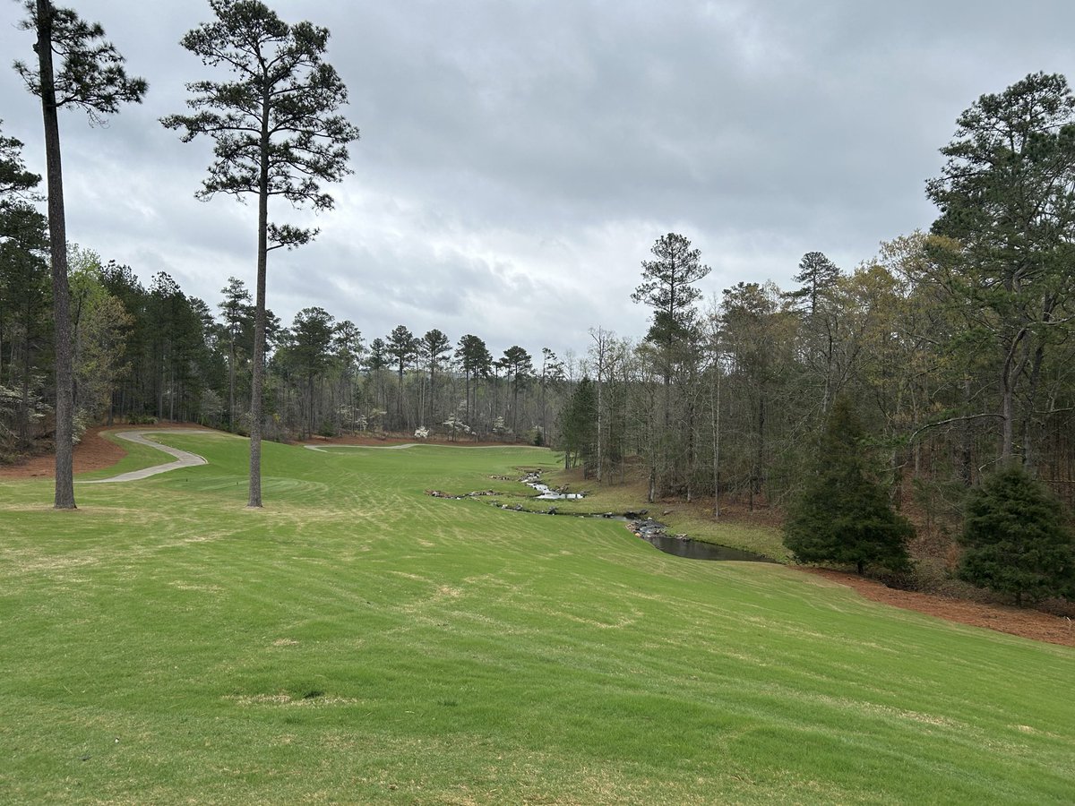 No Divots tweet media