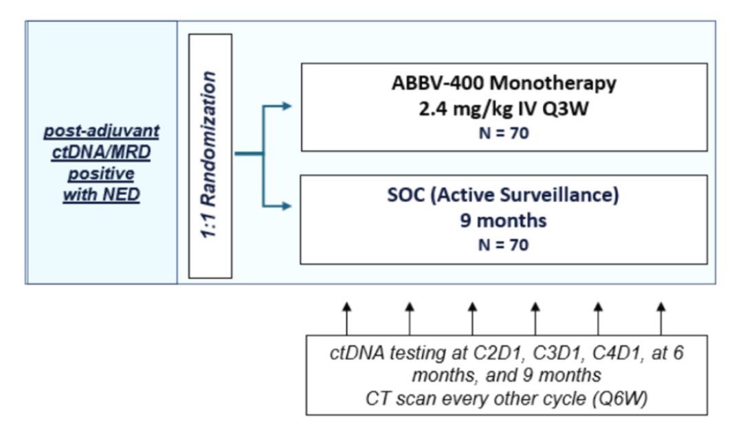 Tiago Biachi tweet media