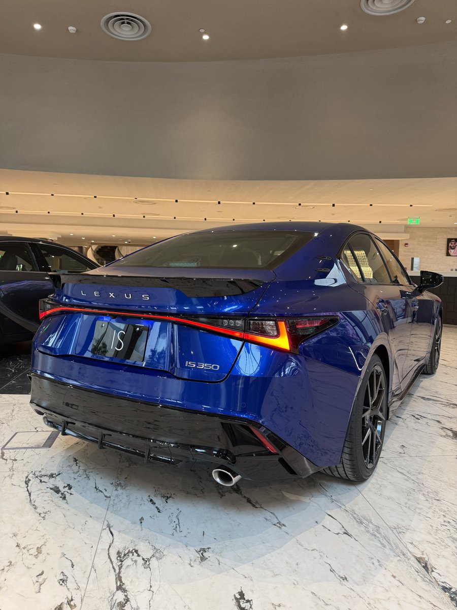 اوتو كاتش مع م. هاني داغستاني tweet media