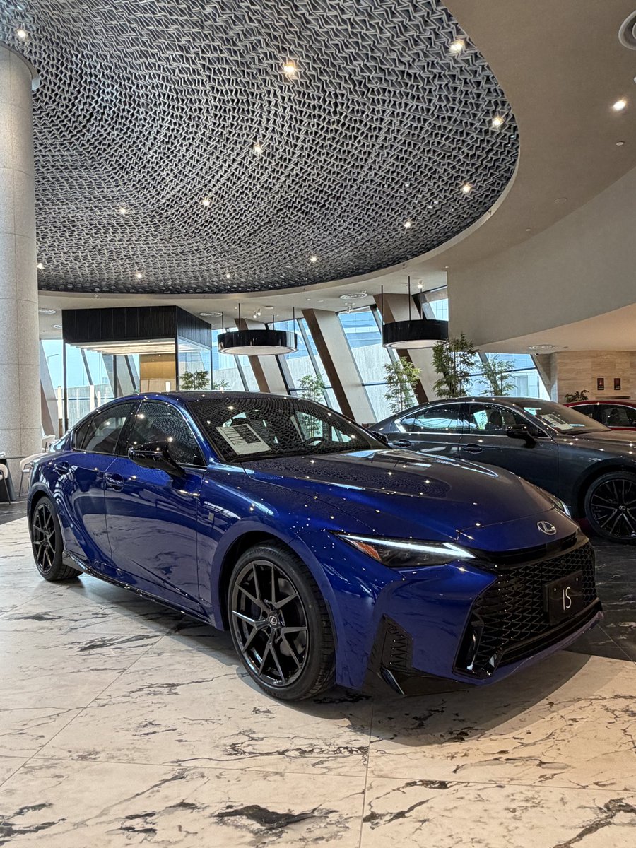 اوتو كاتش مع م. هاني داغستاني tweet media