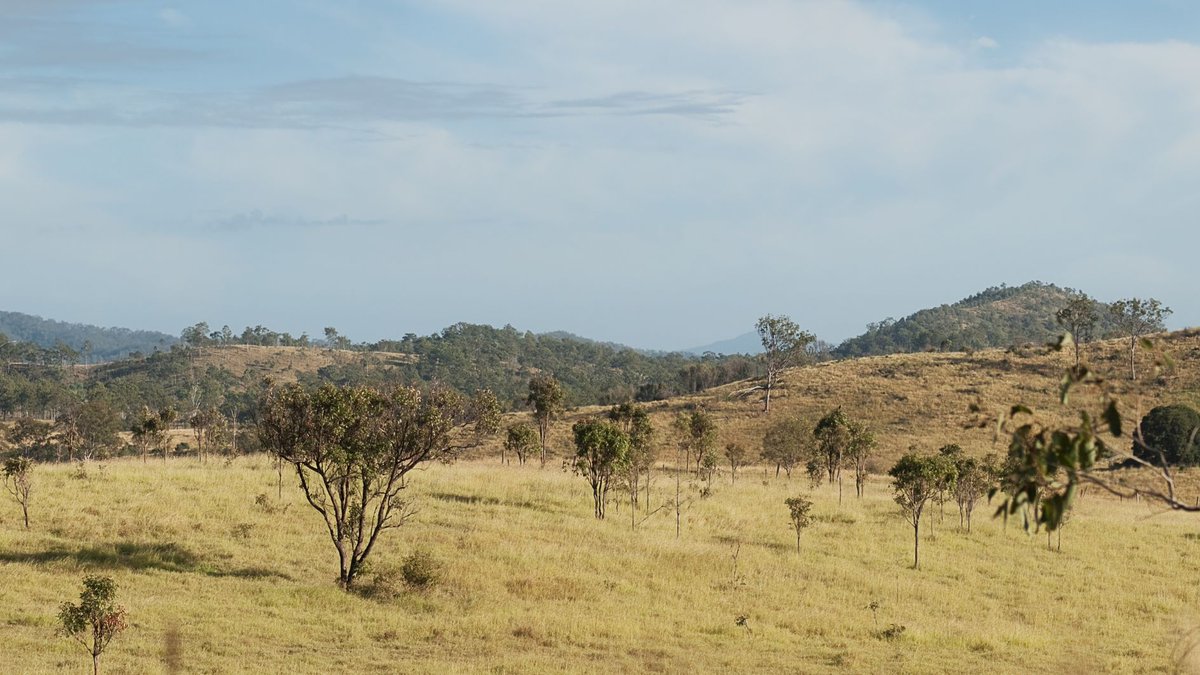 AgForce Queensland tweet media