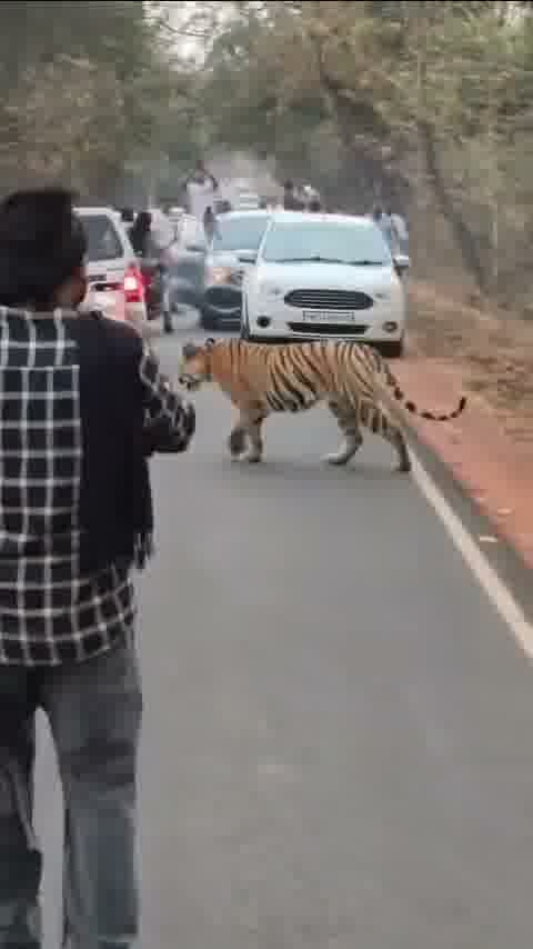 Rajneeti Tadka 🌶️ tweet media