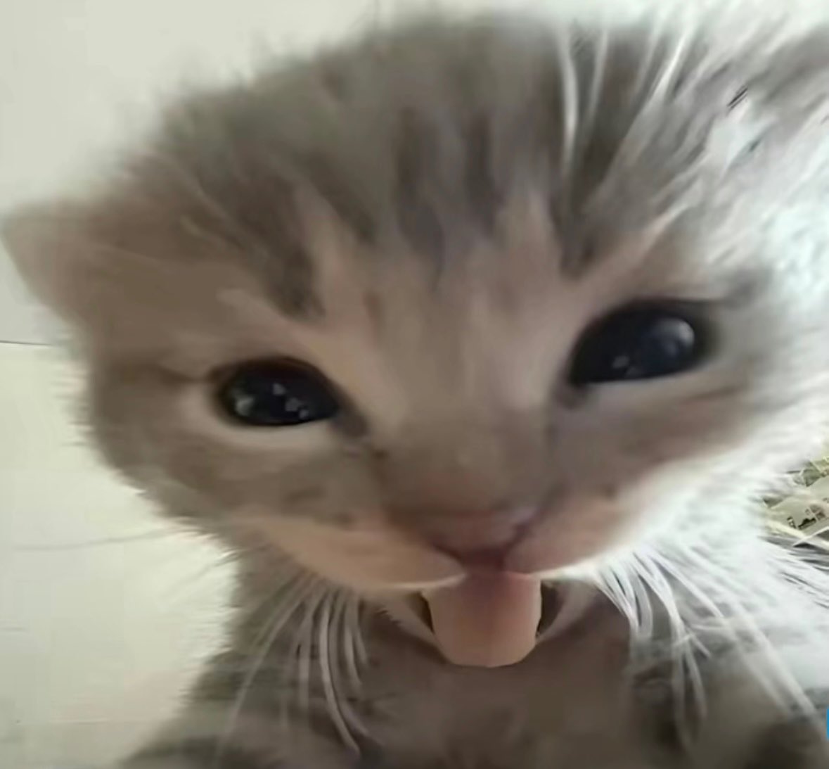 ALEXANDRAA✰ tweet media