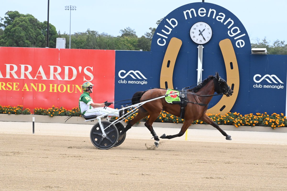Club Menangle tweet media
