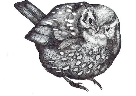 Booth Templeton tweet media