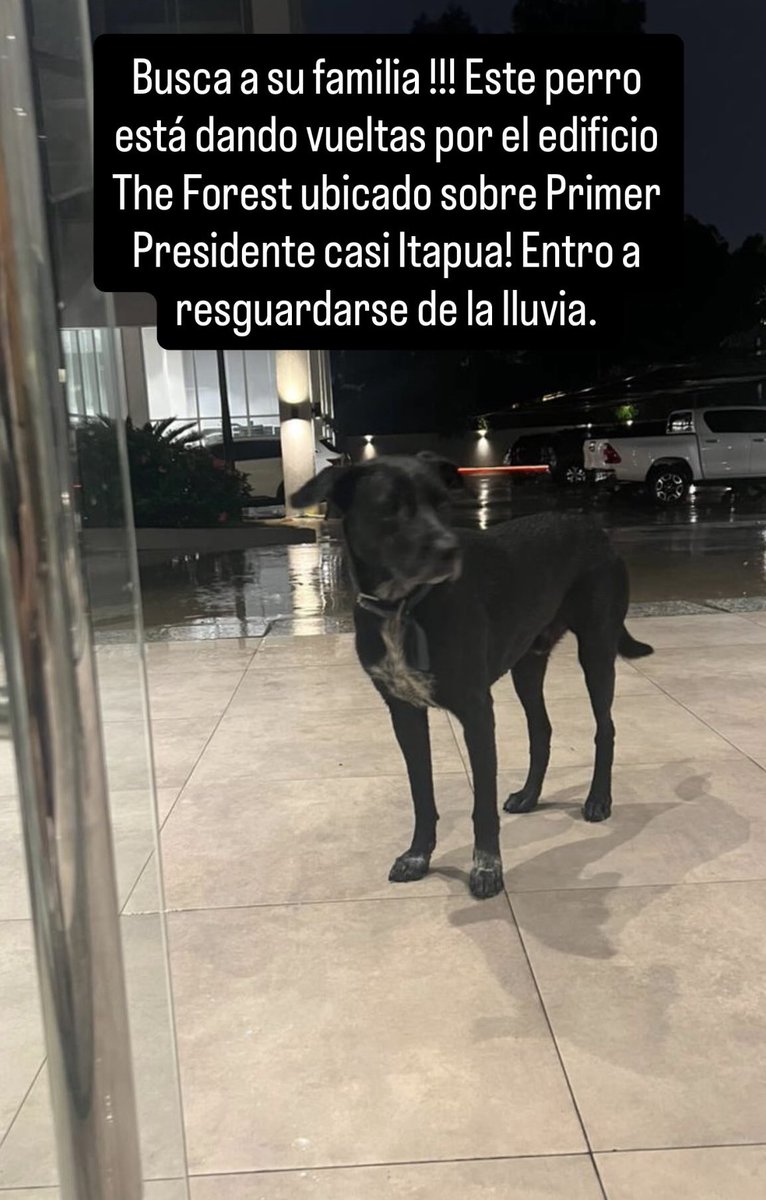 Marcando Huellas tweet media