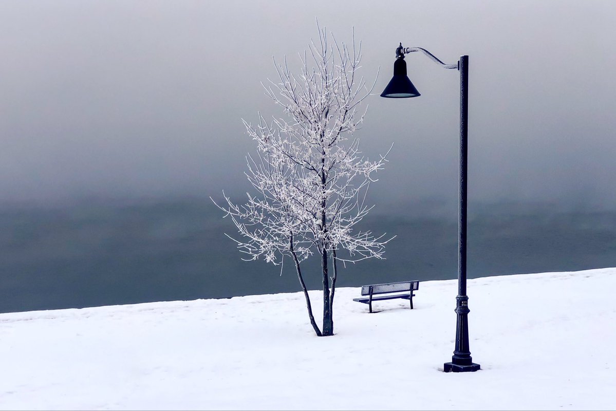 Steven Alexander tweet media