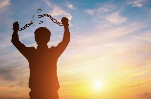 moonie ❄️🦈 tweet media