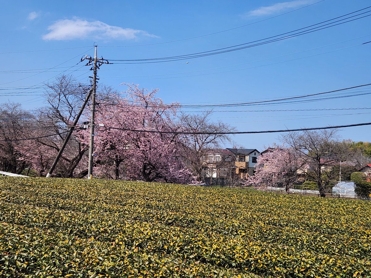 Kouji Tomihisa tweet media