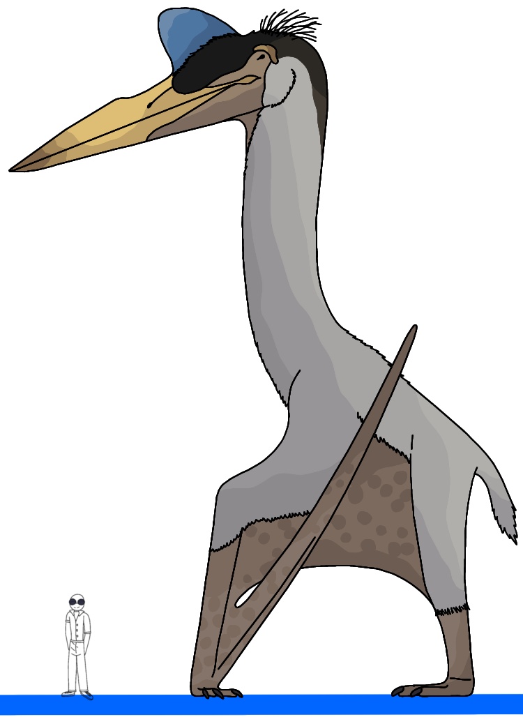 SolanTHM69420's tweet image. Just some Quetzalcoatlus northropi giganteus redraw for Sector 001 @Logansartz 
#GMO